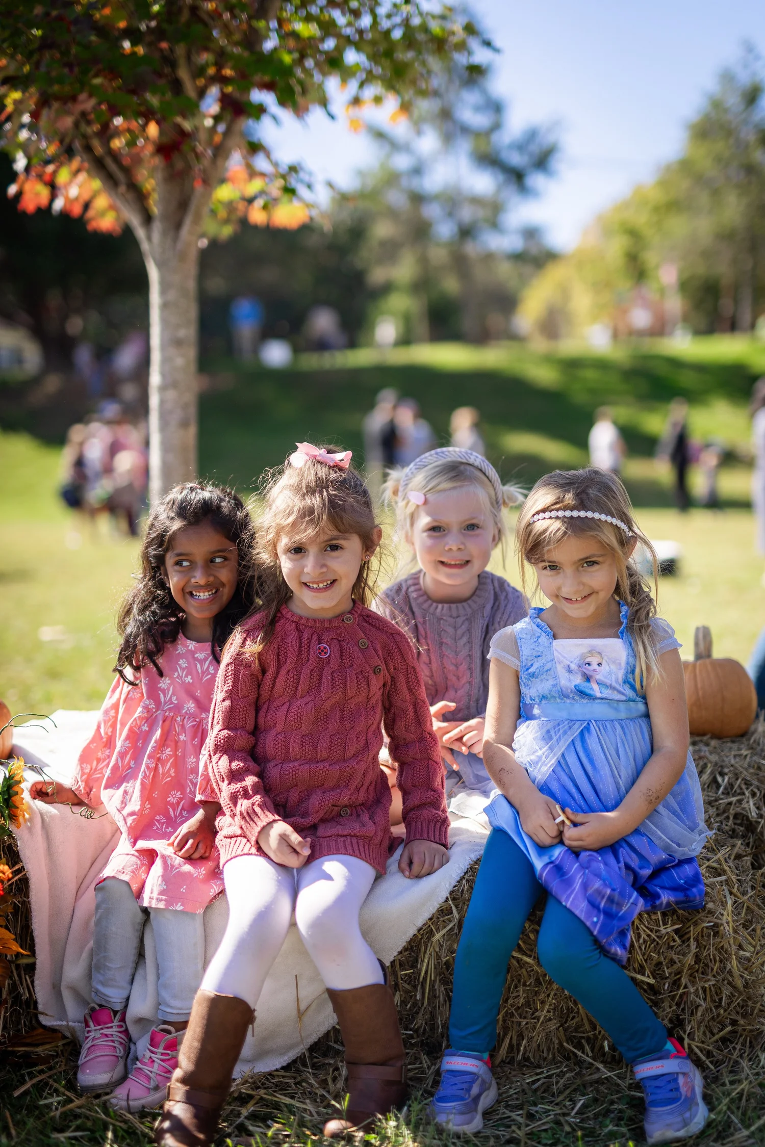 Preschool girls enjoying a picnic outside